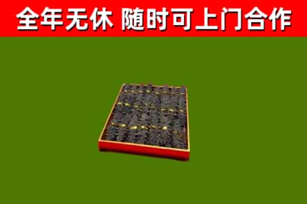 惠民县回收海参